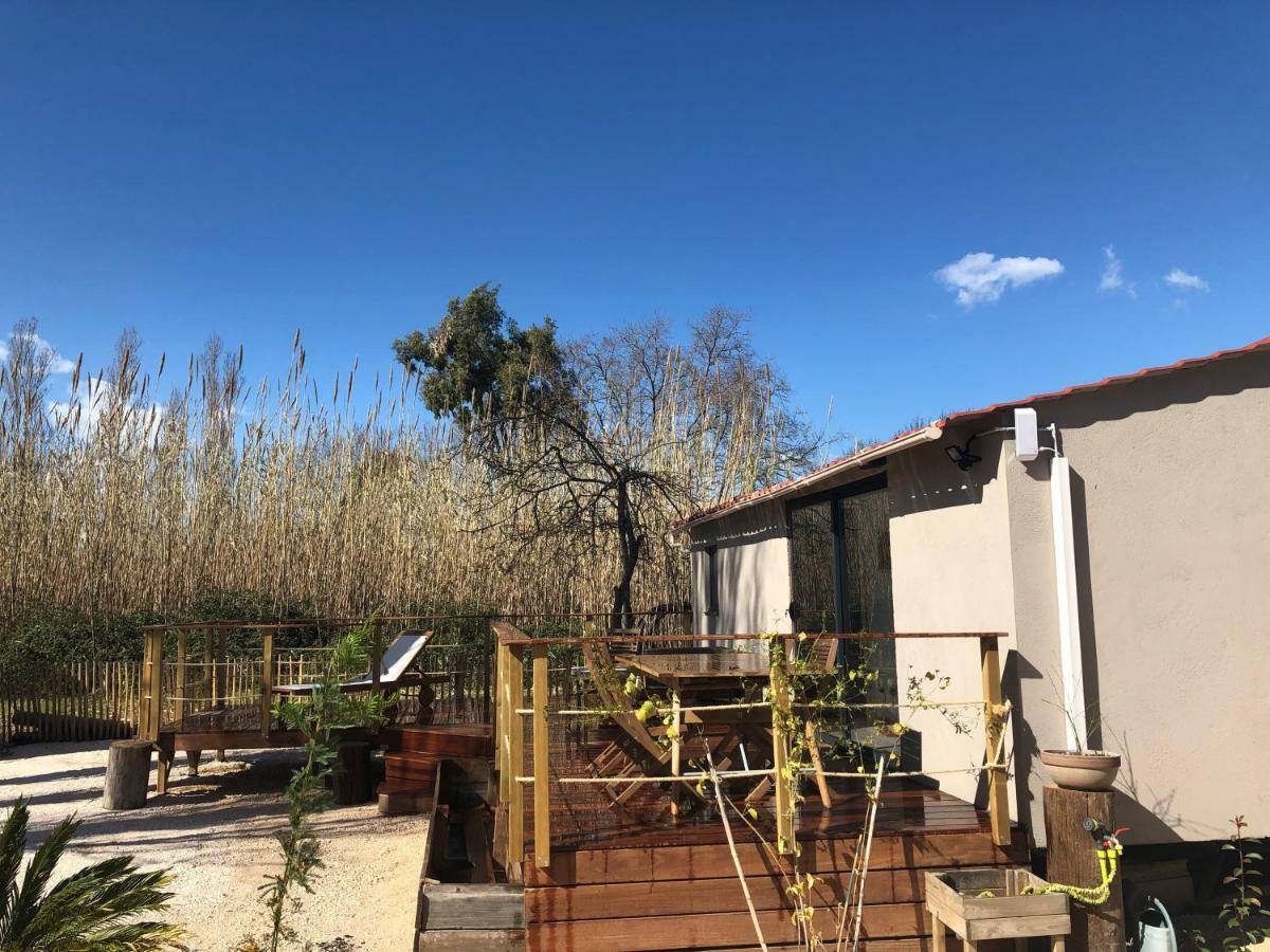 Tiny House Sur La Cote D'Azur Villa Hyères Dış mekan fotoğraf